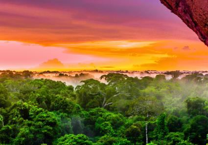 Amazonas in Kolumbie_22_3.jpg